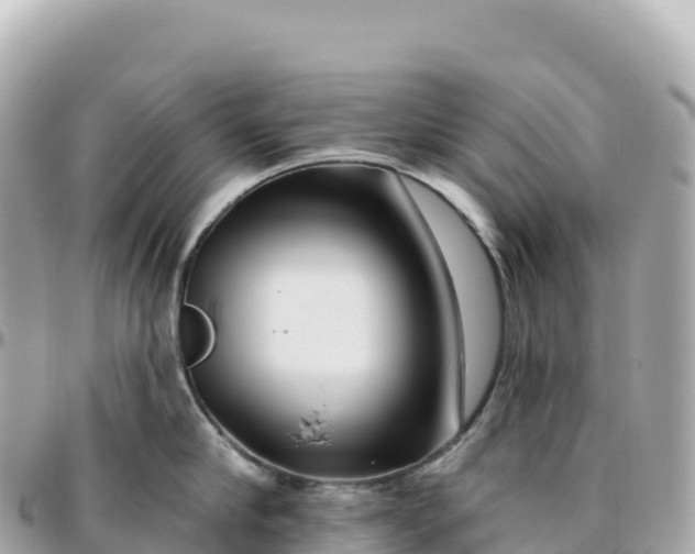 X0000095900910200801251221