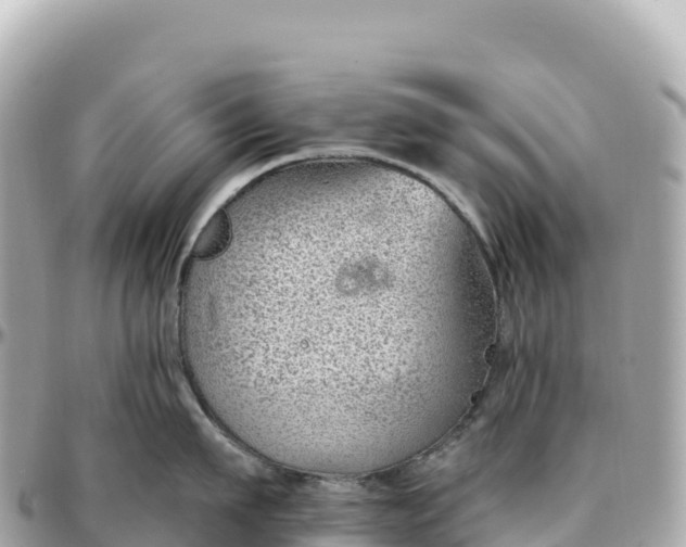 X0000095900911200801251221