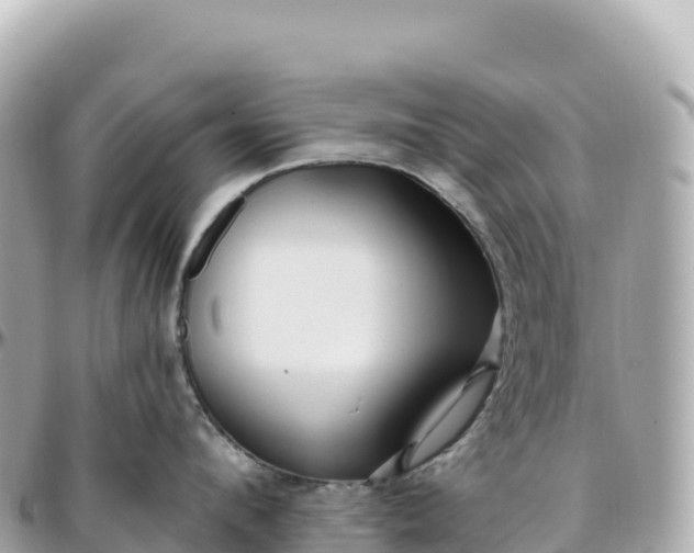 X0000095900912200801251221