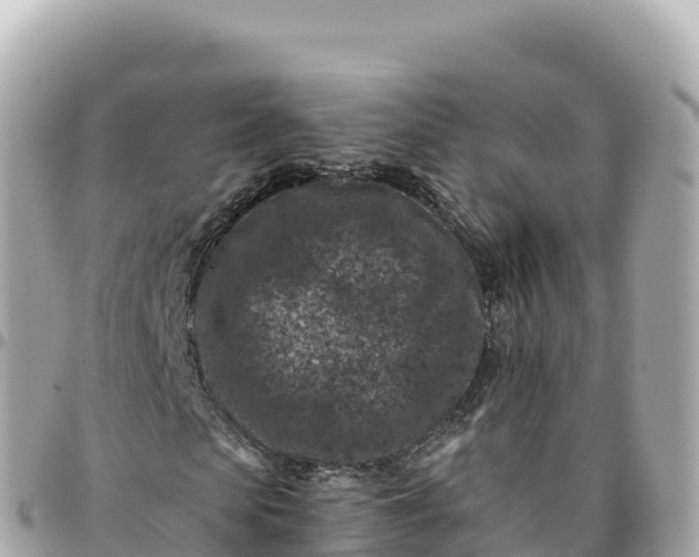 X0000095900913200801251221