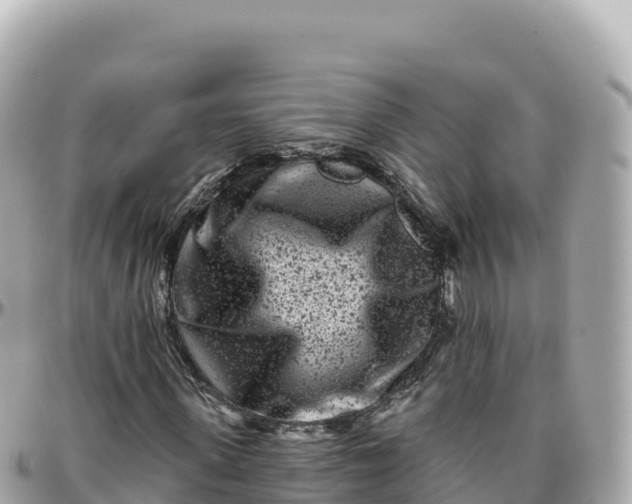 X0000095900915200801251221