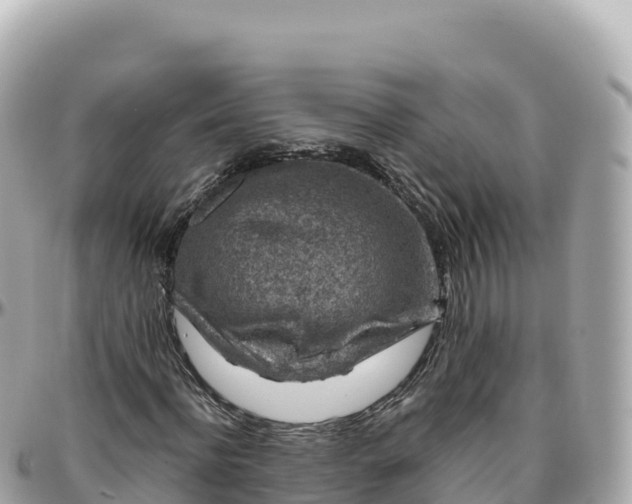 X0000095900916200801251221