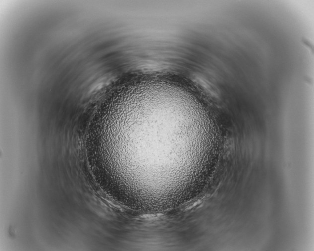 X0000095900917200801251221