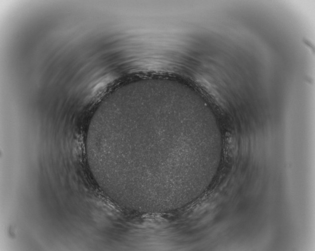 X0000095900918200801251221