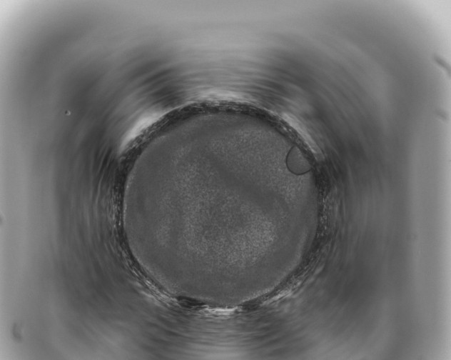 X0000095900919200801251221