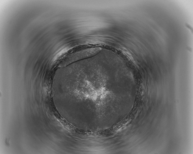 X0000095900920200801251221