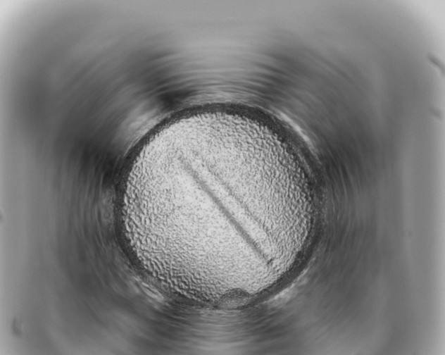 X0000095900921200801251221