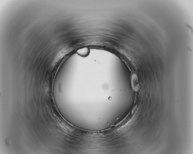 X0000095900922200801251221