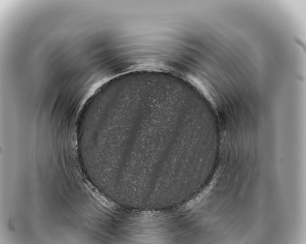 X0000095900923200801251221