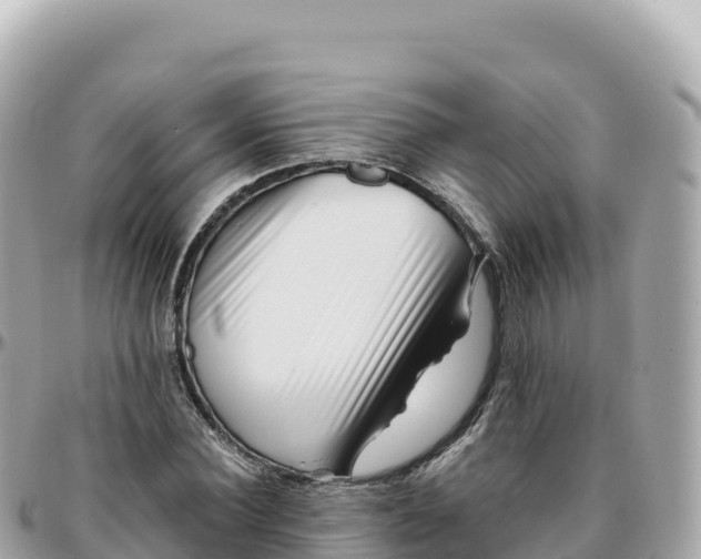 X0000095900924200801251221