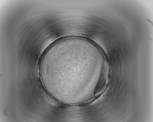 X0000095900925200801251221