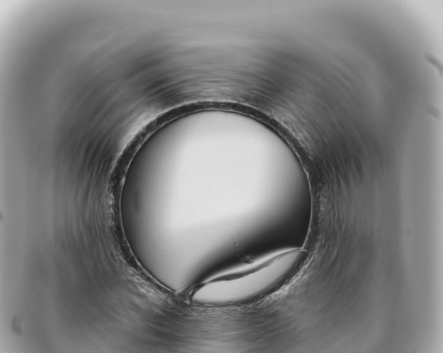 X0000095900926200801251221