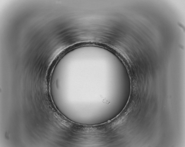 X0000095900927200801251221