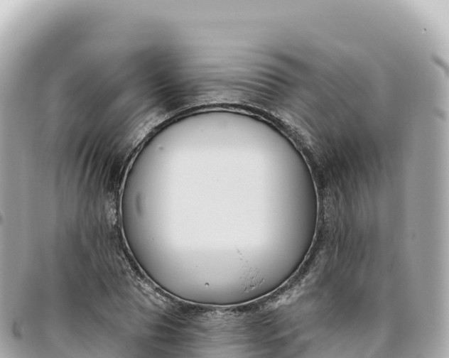 X0000095900929200801251221