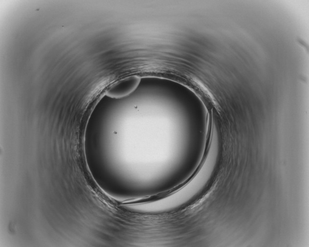 X0000095900930200801251221