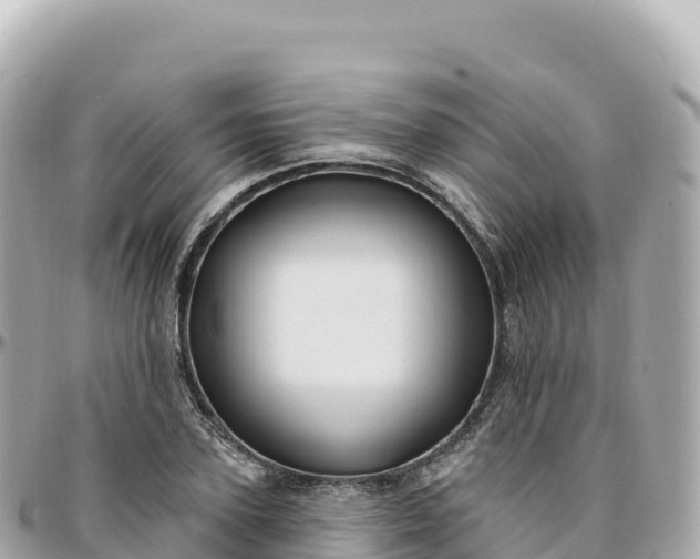 X0000095900931200801251221