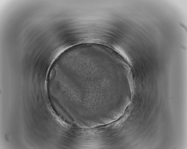 X0000095900932200801251221