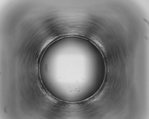 X0000095900933200801251221