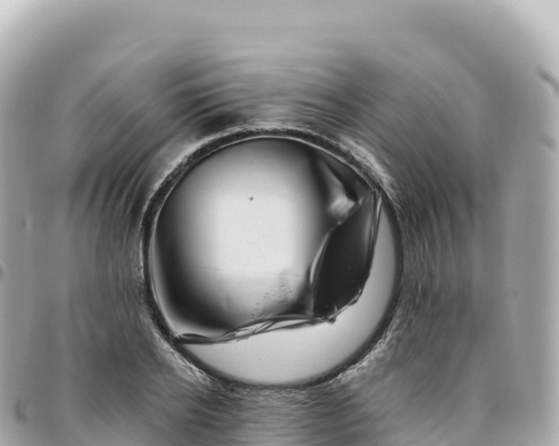 X0000095900934200801251221