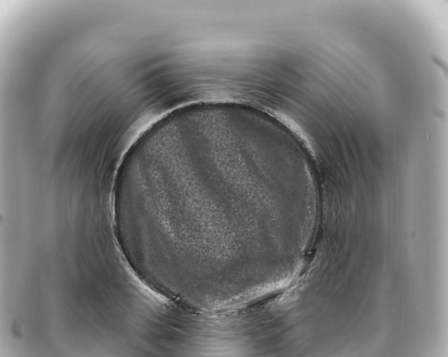 X0000095900935200801251221