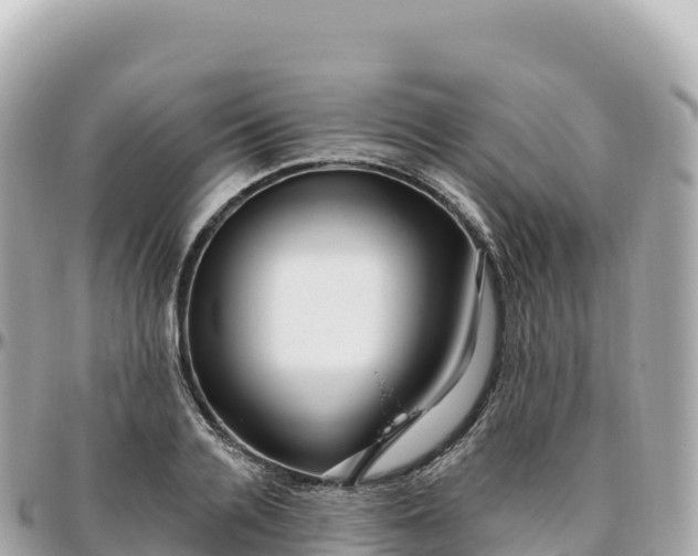 X0000095900936200801251221