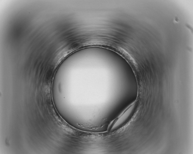 X0000095900937200801251221