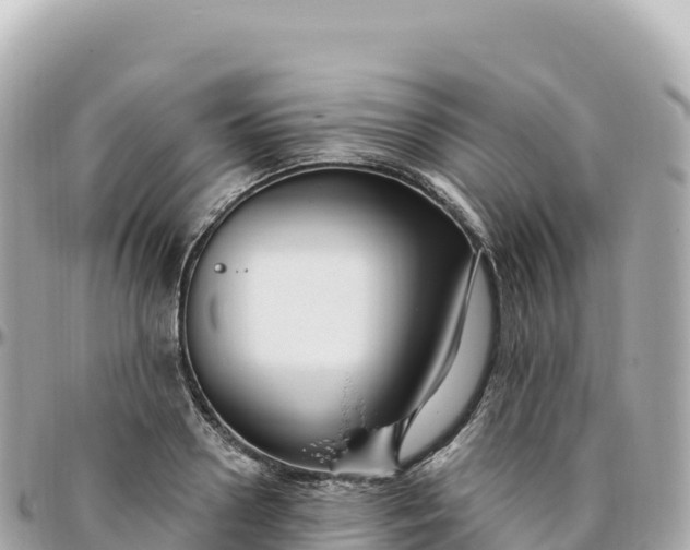 X0000095900938200801251221