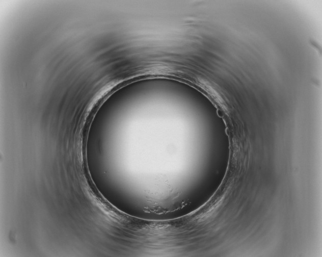 X0000095900939200801251221