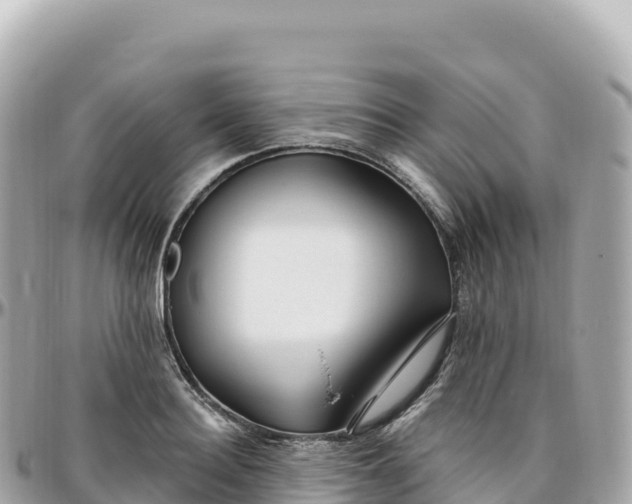 X0000095900940200801251221