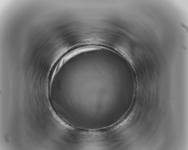 X0000095900941200801251221