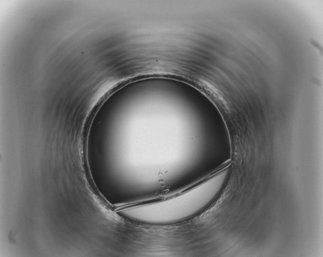 X0000095900942200801251221