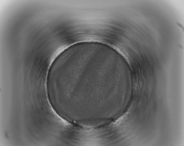 X0000095900943200801251221