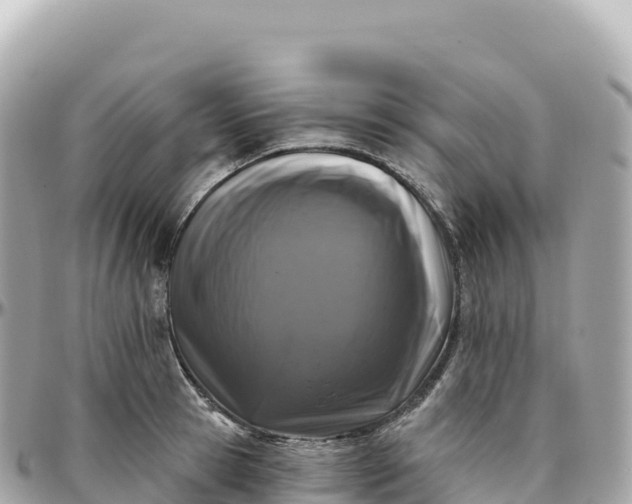 X0000095900945200801251221