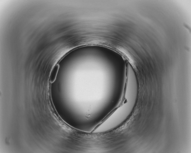 X0000095900948200801251221