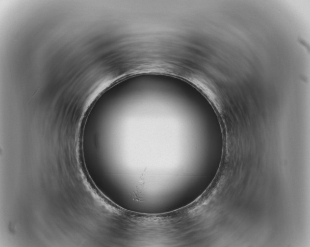 X0000095900949200801251221