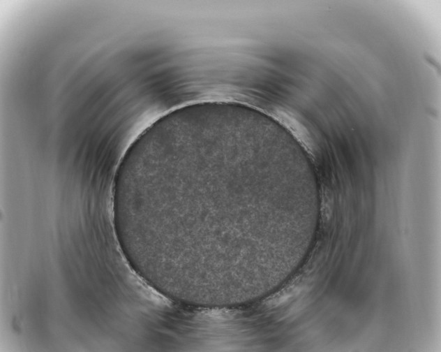 X0000095900950200801251221