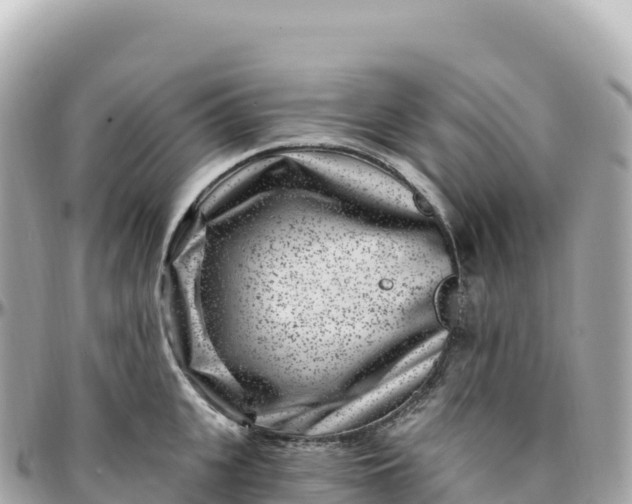 X0000095900951200801251221