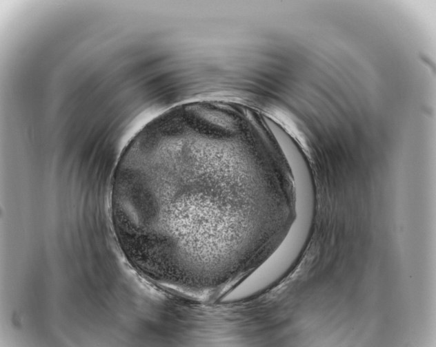 X0000095900952200801251221