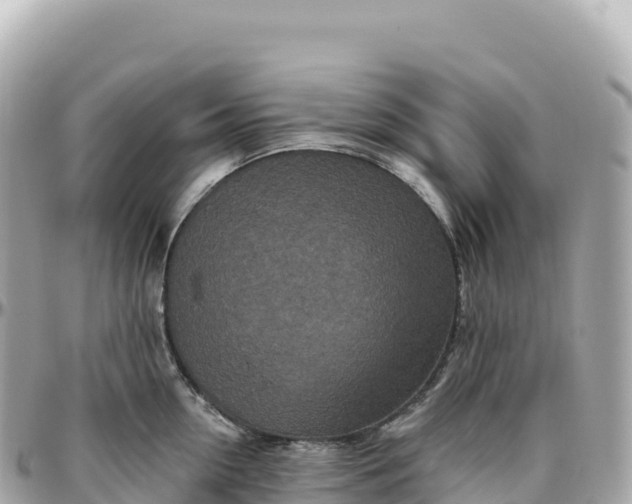 X0000095900954200801251221