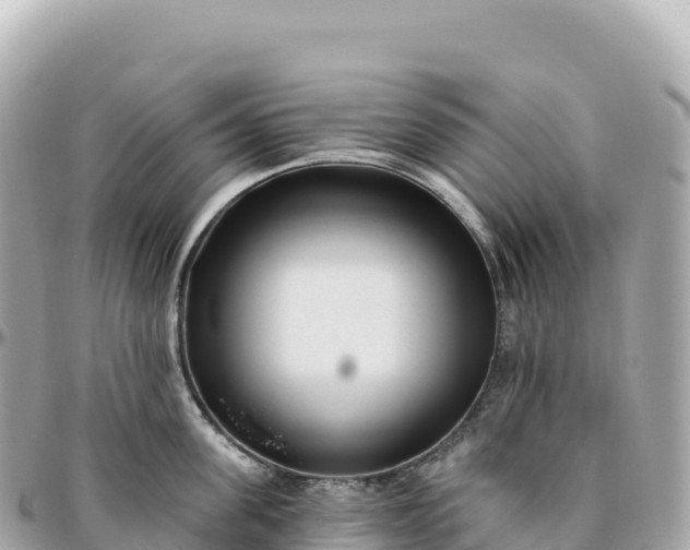 X0000095900955200801251221