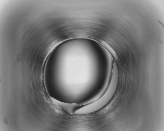 X0000095900956200801251221