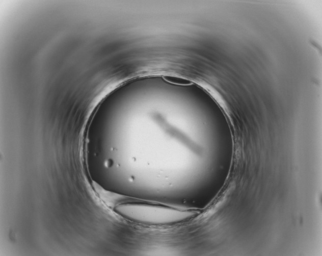 X0000095900957200801251221