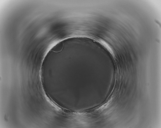 X0000095900958200801251221