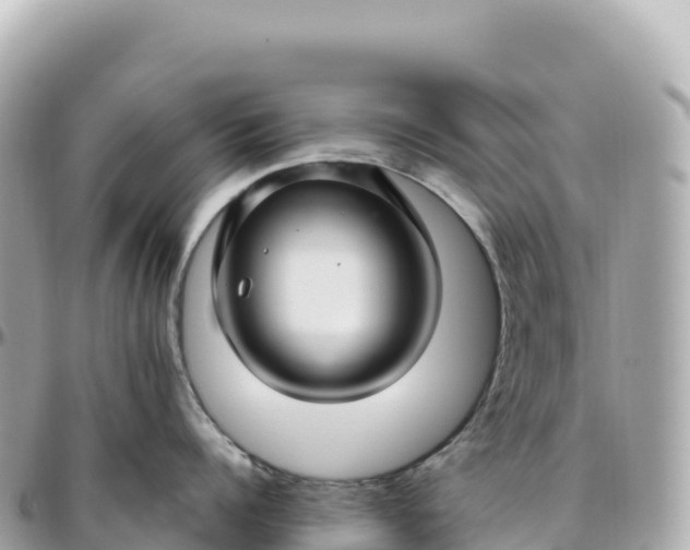 X0000095900960200801251221