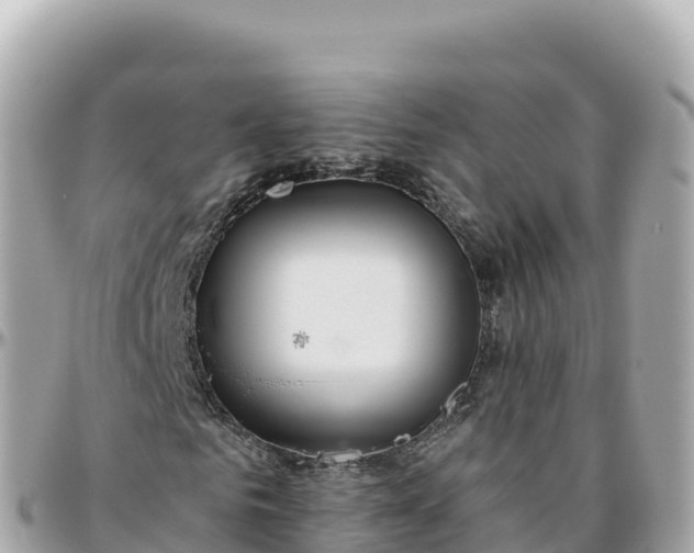 X0000095900961200801251221