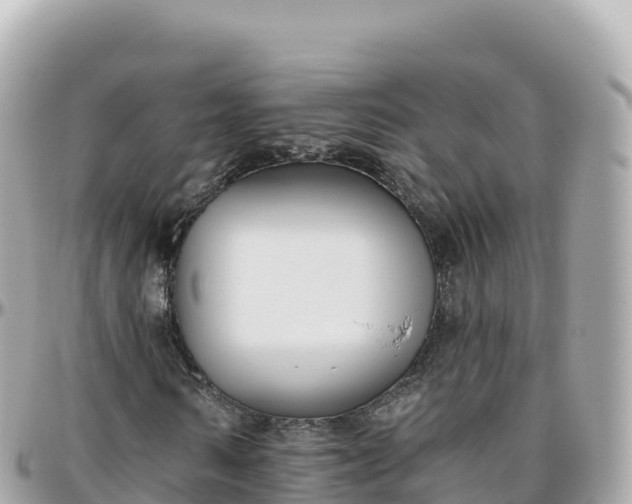 X0000095900962200801251221