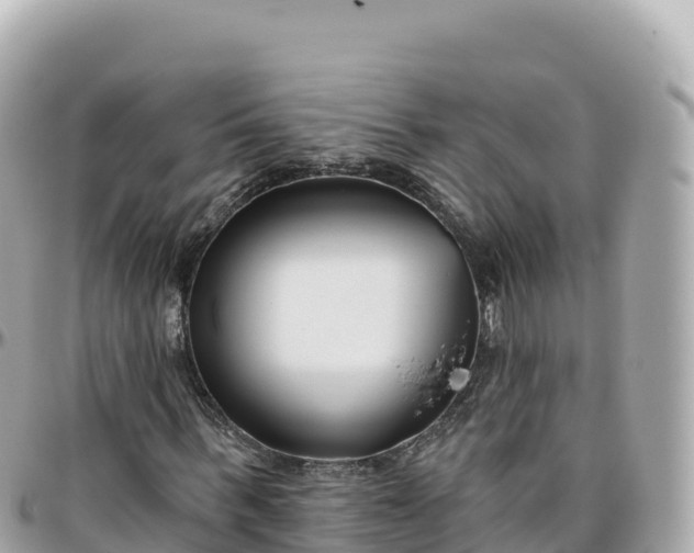 X0000095900963200801251221