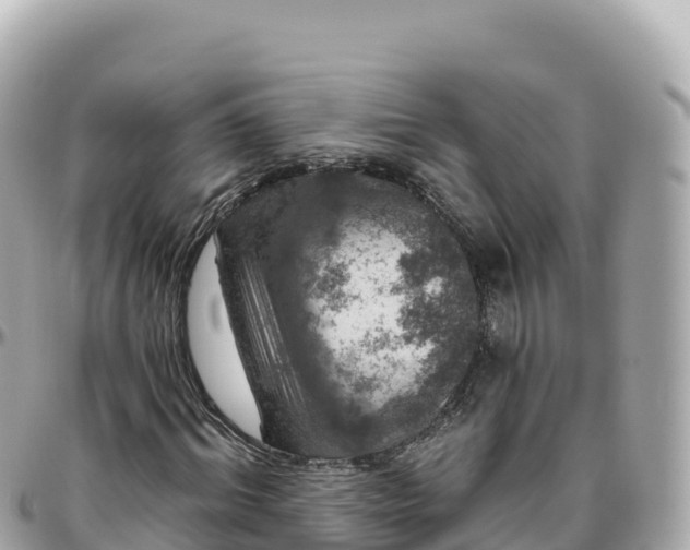 X0000095900964200801251221