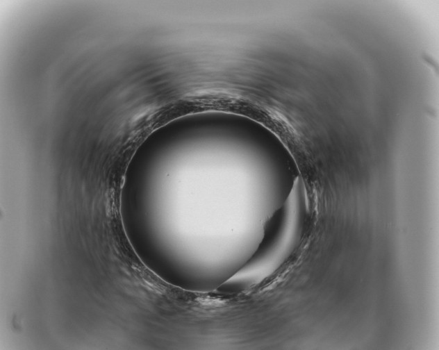 X0000095900965200801251221