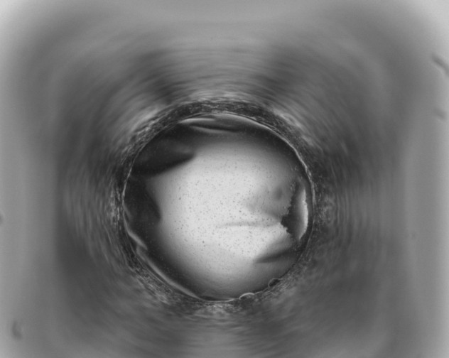 X0000095900966200801251221